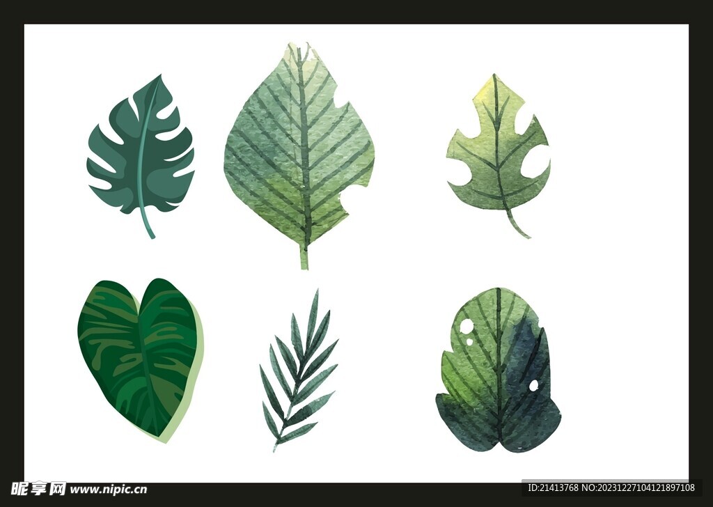 手绘绿植绿叶