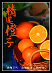 水果海报   橙子展板  