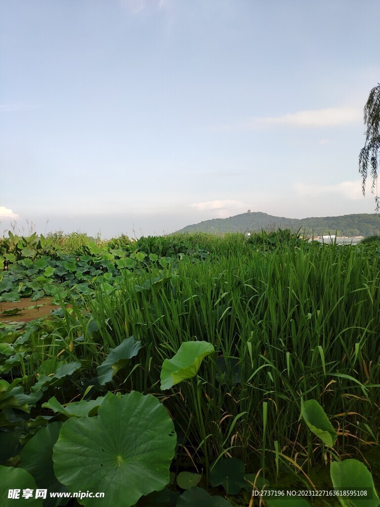 管社山庄