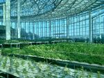 植物园