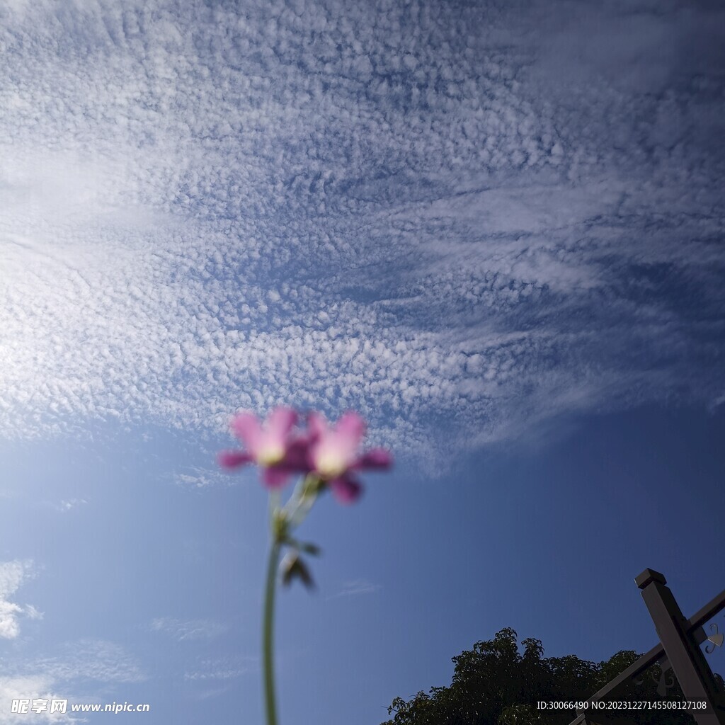 天空 