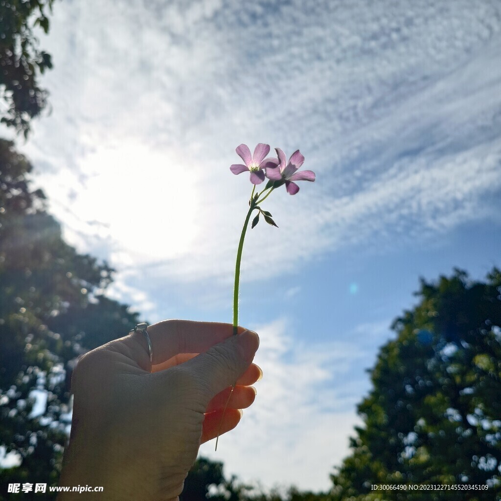 天空