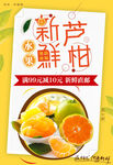 新鲜芦柑