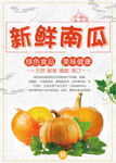 新鲜南瓜