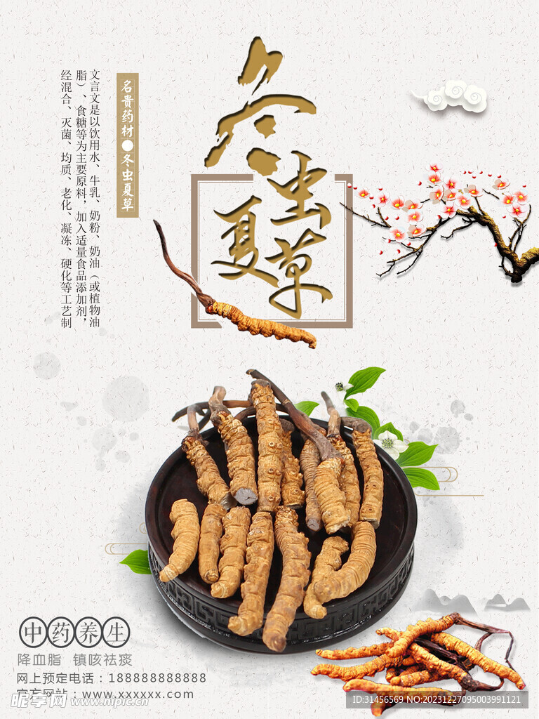 冬虫夏草