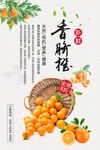 脐橙