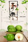 青枣