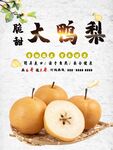 鸭梨