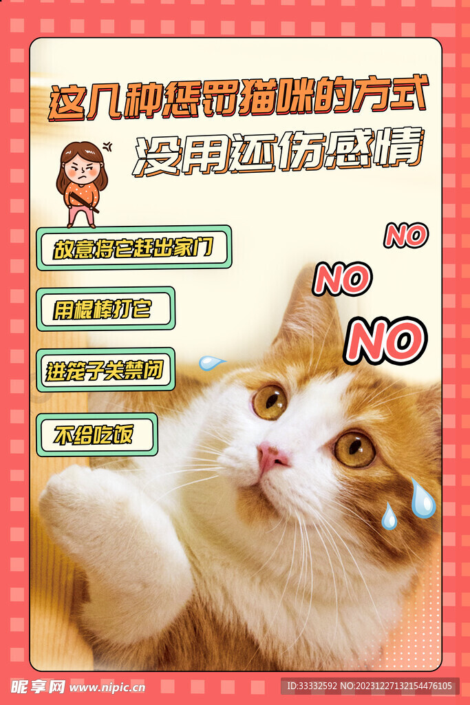 猫咪百科