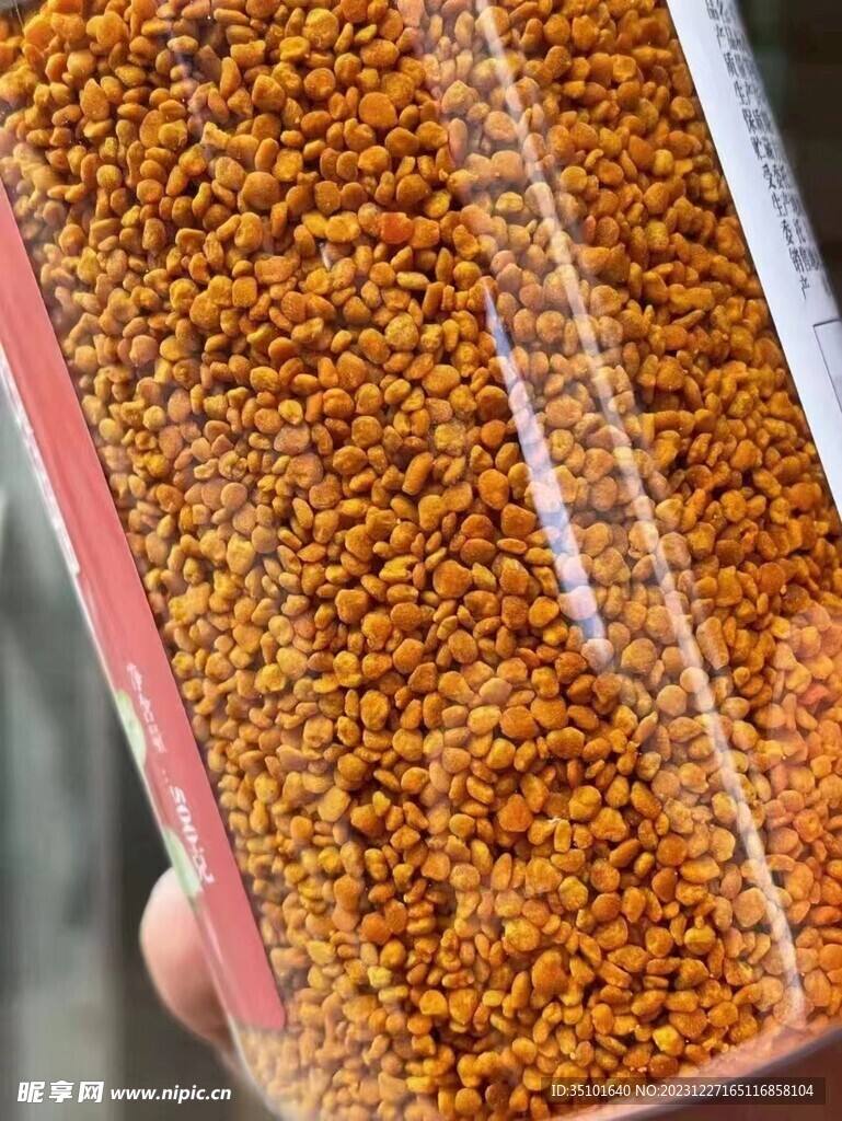 油菜花粉
