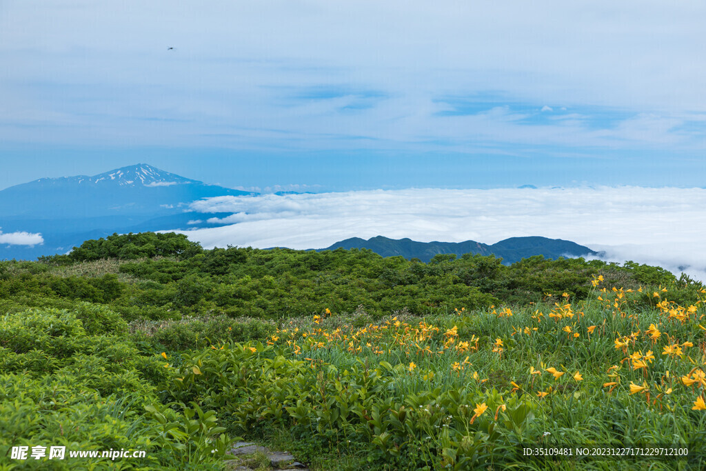 山顶风光