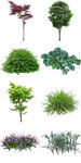 环保绿植花草