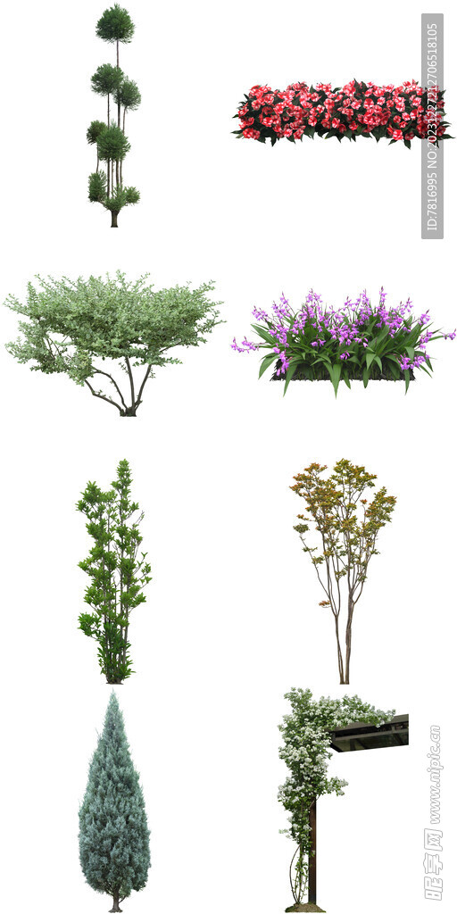 绿植绿化