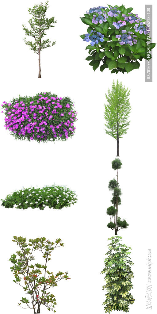 环保绿植花卉