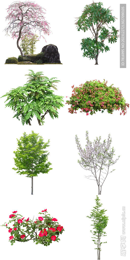 花草树木