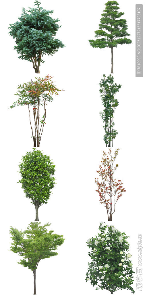 绿植树木