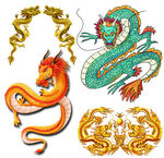 龙