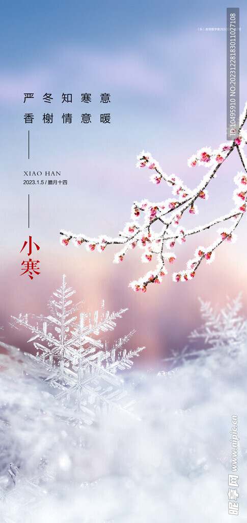 二十四节气 小寒