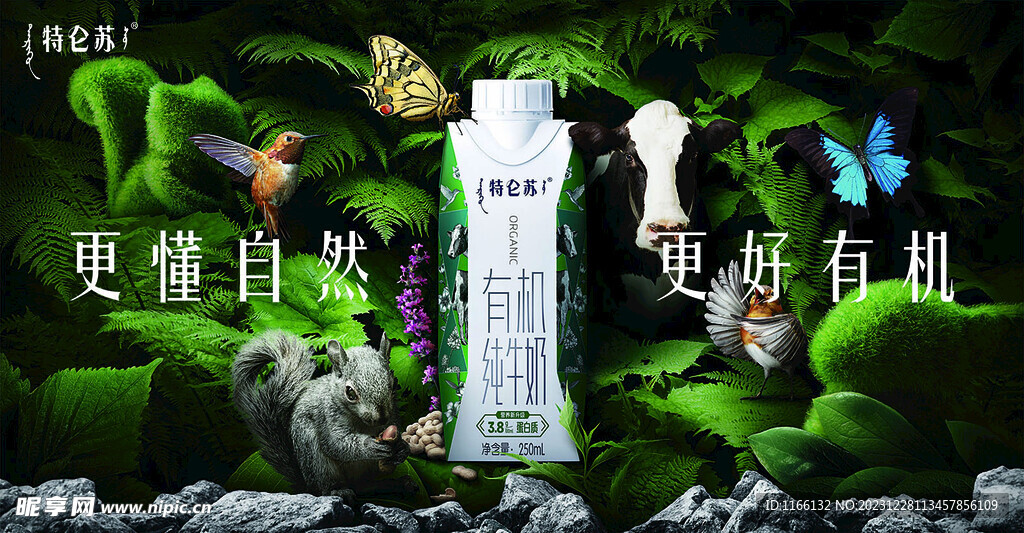 特仑苏