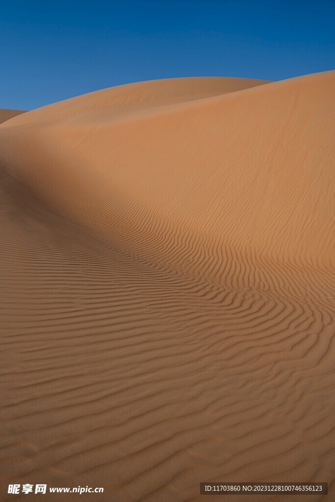 沙漠风景