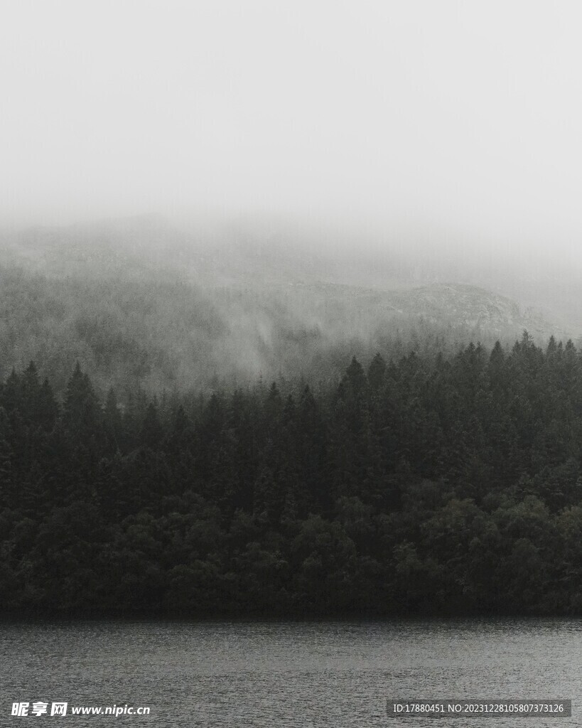 山林
