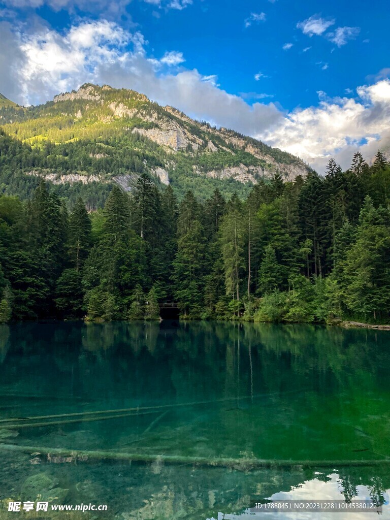山林