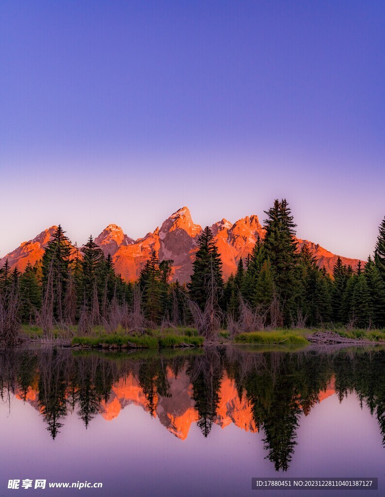 山林