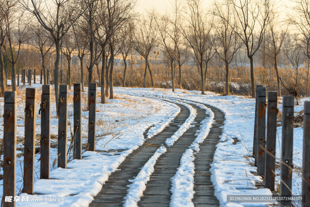 雪地车辙