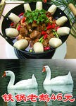 铁锅炖大鹅