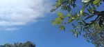 天空  