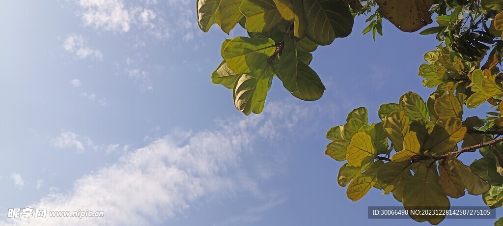 天空