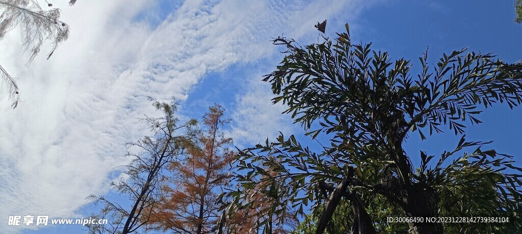 天空