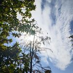 天空  