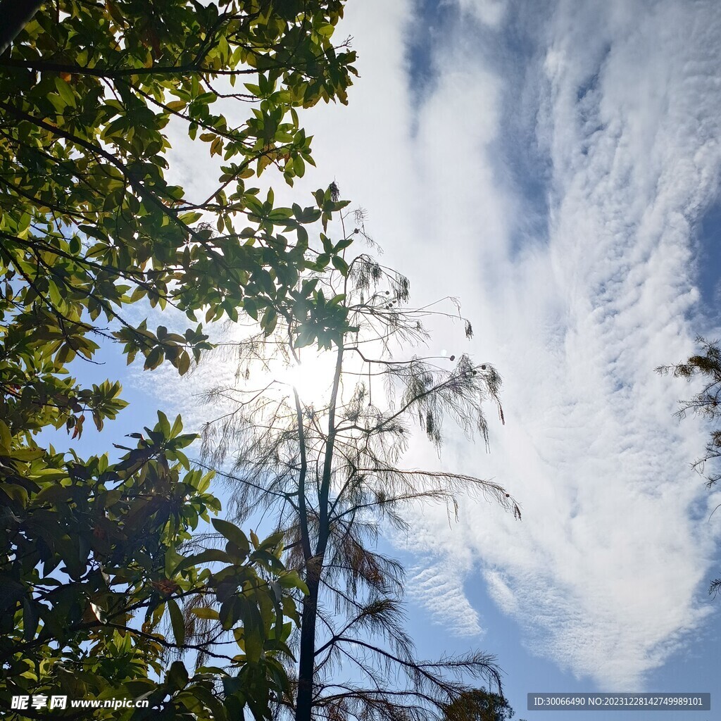 天空  