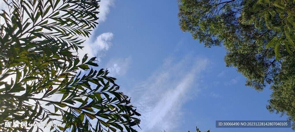 天空  