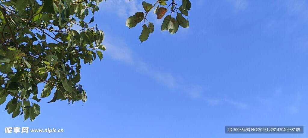 天空 