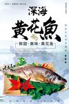 黄花鱼