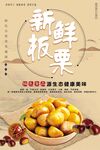 新鲜板栗