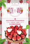 草莓