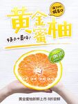 黄金蜜柚
