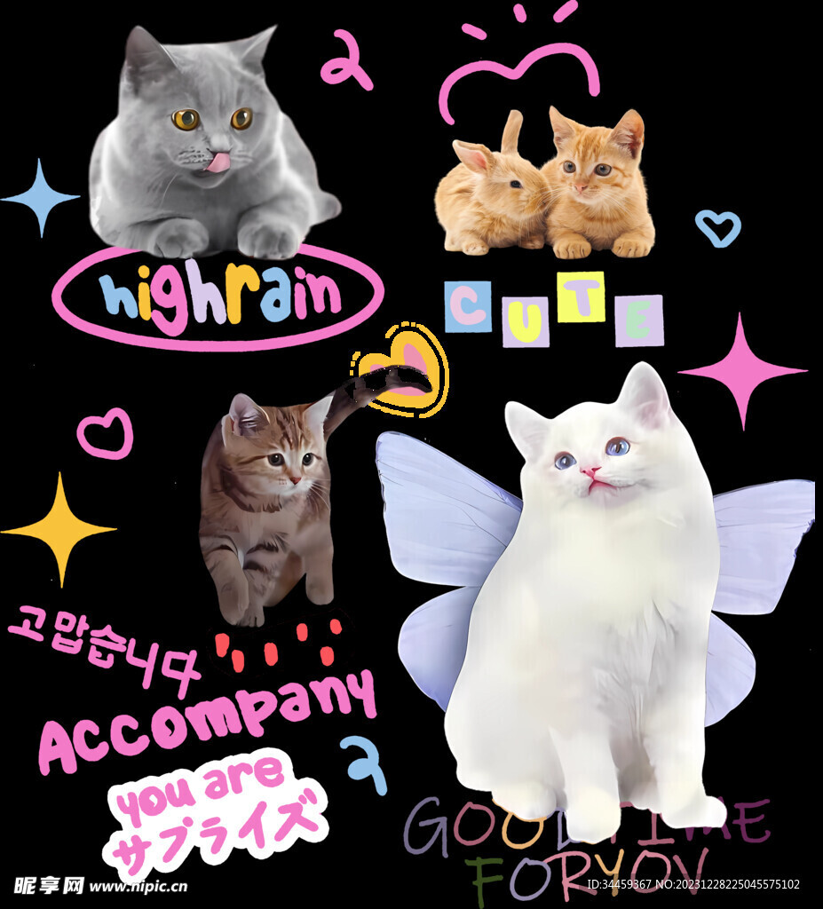 小猫