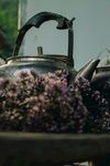 茶花
