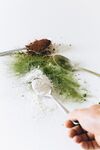 茶粉