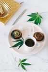 泡杯绿茶