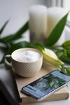茶杯