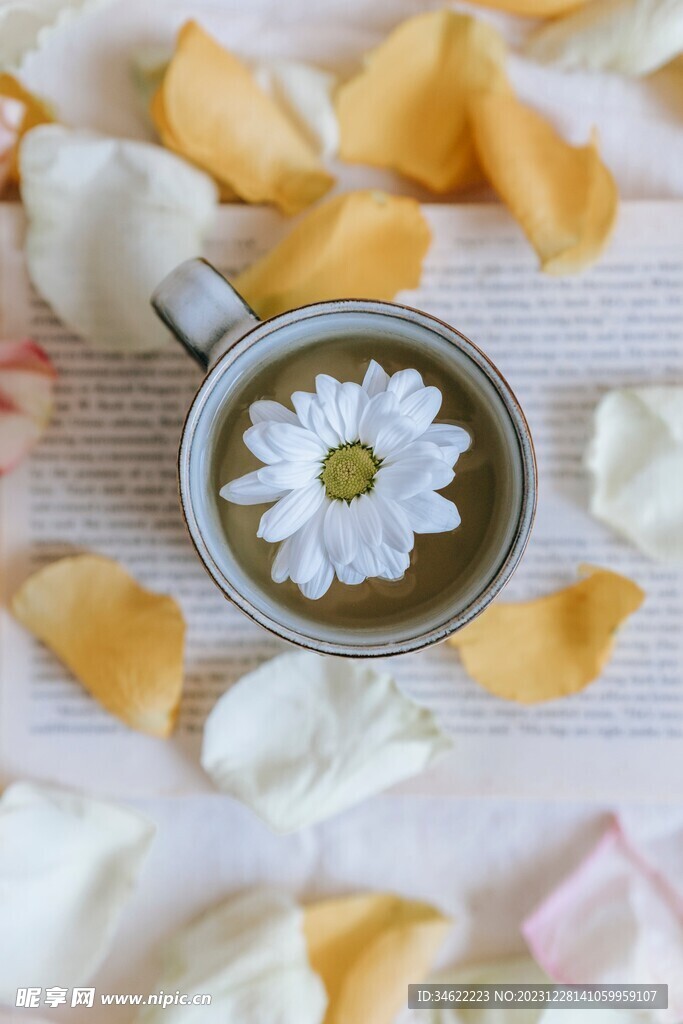 菊花茶