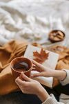 品茶
