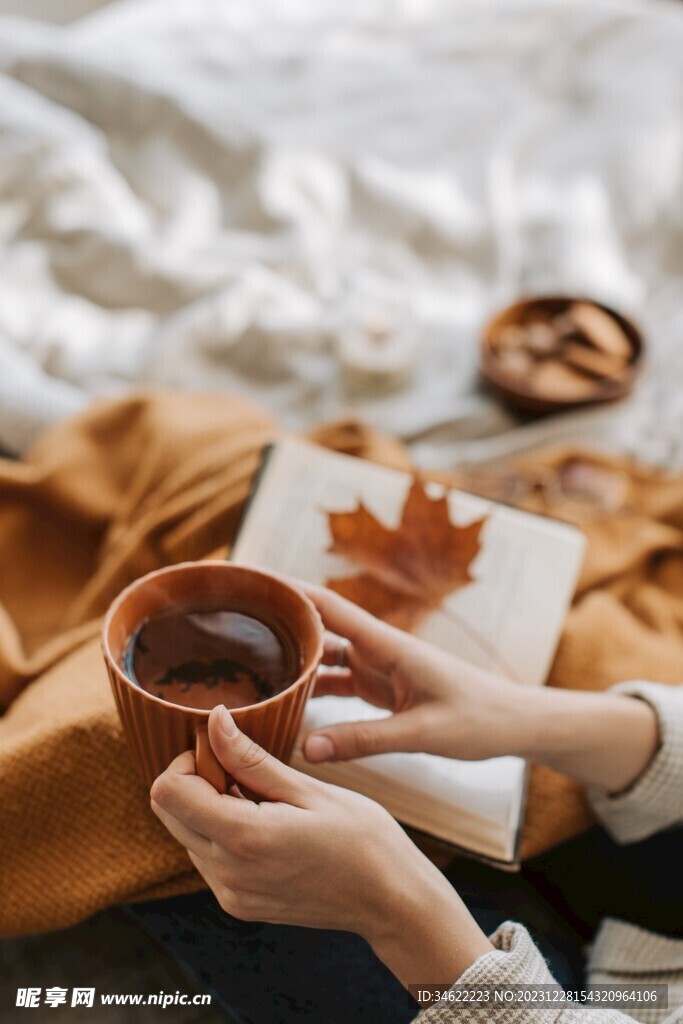 品茶