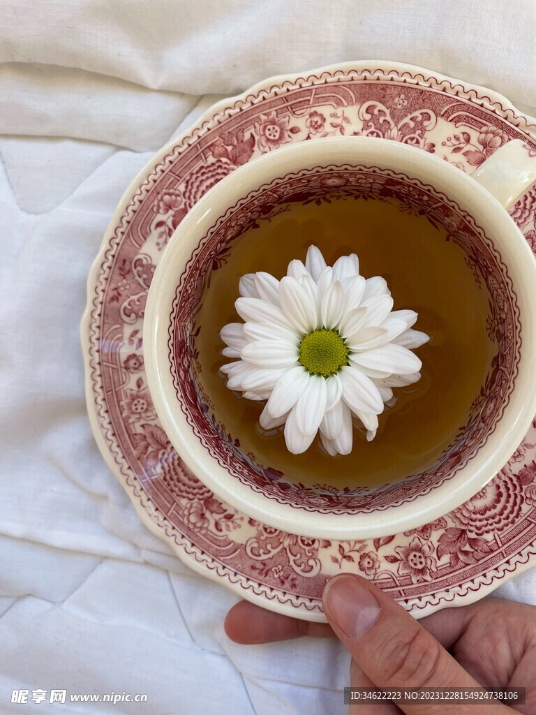 菊花茶