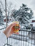 雪后品茶